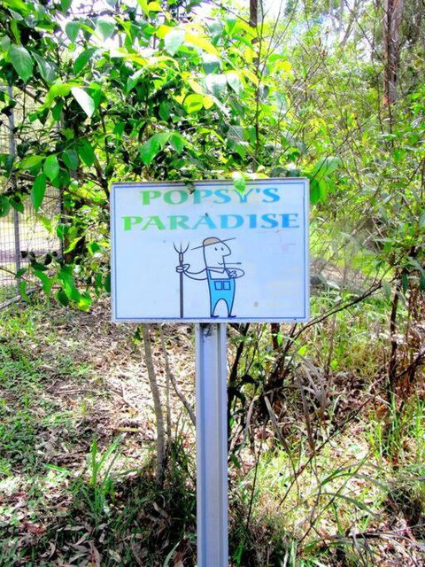 Nature Retreat & Artists Studio 90mins From Sydney - ACT Tourism 3