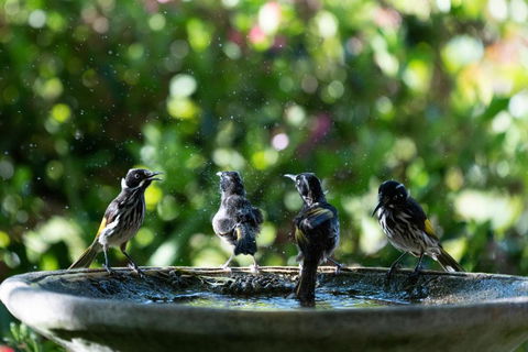 Noble River Estate - ACT Tourism 2