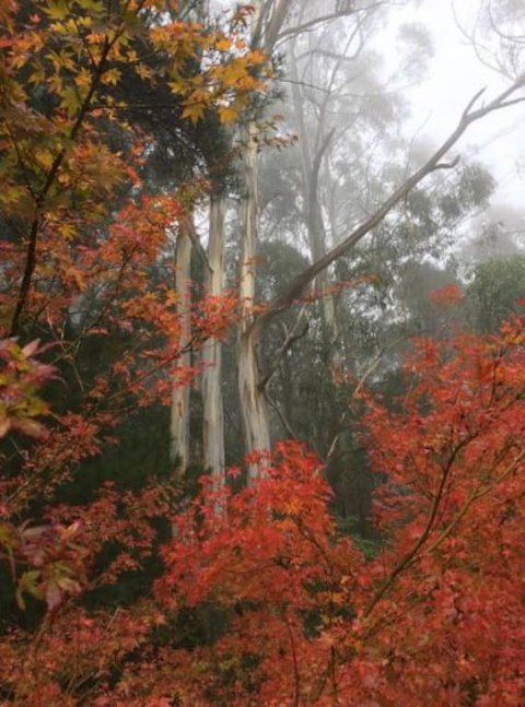 Olinda Enchanted Tower Spa Gas Log Fire And Netflix - ACT Tourism 2