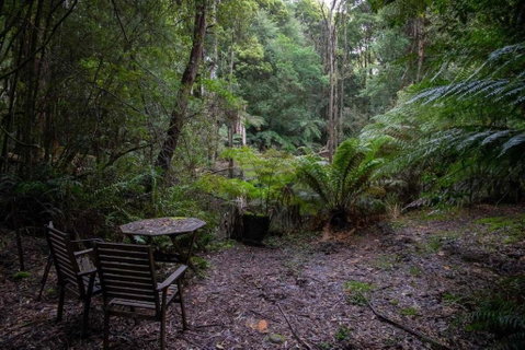 Parkwood Cottage - ACT Tourism 1