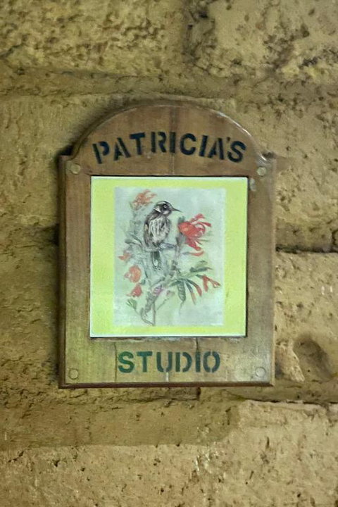 Patricias Garden Studio - ACT Tourism 2