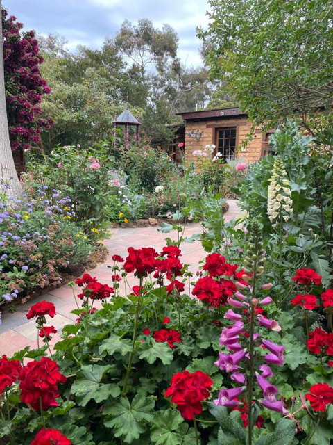Patricias Garden Studio - ACT Tourism 0