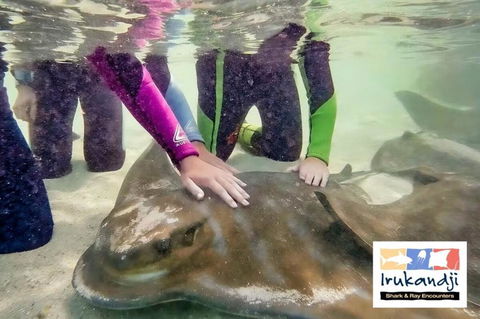 Peace In Paradise Near Nelson Bay- Waterviews, Spa, Adventures - ACT Tourism 2