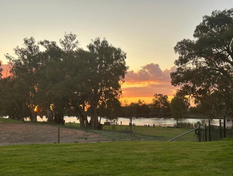 Pelicans On The Darling - ACT Tourism 0