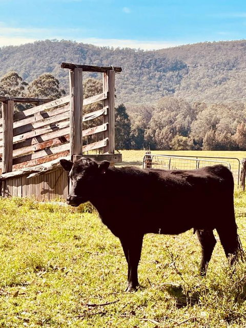 Peppercorns Riverside Farm Stay - ACT Tourism 0