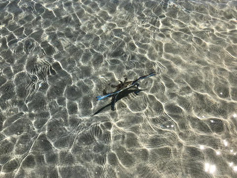 Peppermint Grove Beach Holiday Park - ACT Tourism 1