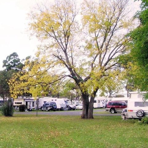 Poplar Tourist Park - ACT Tourism 2