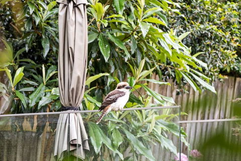 Quaint Queen Room - Central Location At Pymble - Shared Bathroom - ACT Tourism 1