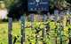 Red Door Collective - RDC Vineyard Estate, Luxury Adult Only Stay - thumb 1
