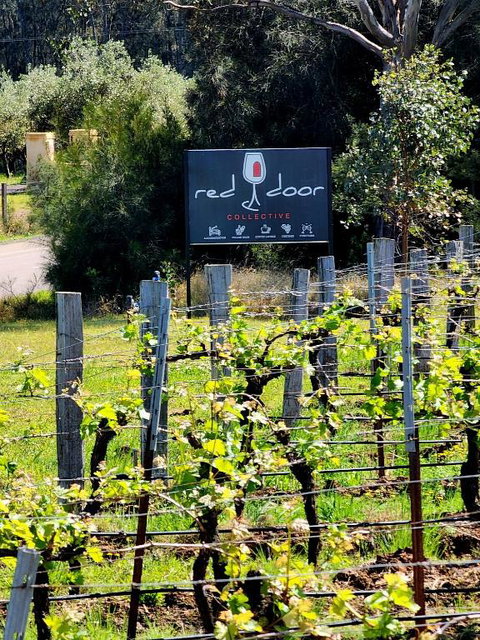 Red Door Collective - RDC Vineyard Estate, Luxury Adult Only Stay - ACT Tourism 1