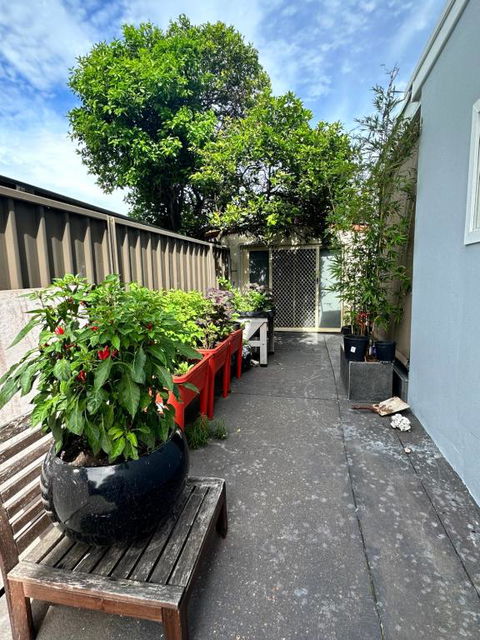 Private, Local Living Studio In Mascot, Airport - ACT Tourism 2