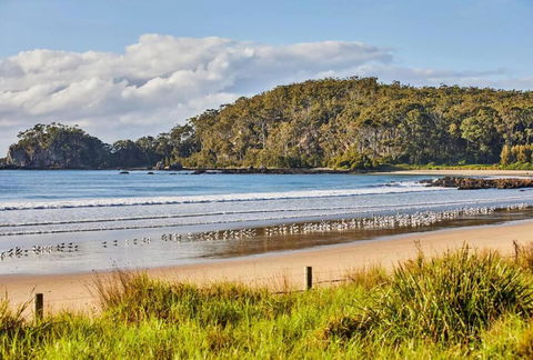 Rare Broulee Beachfront House - ACT Tourism 3