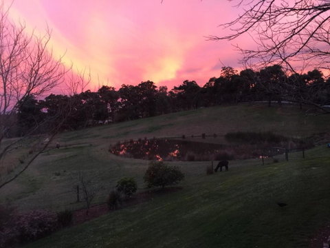 Raynella Alpaca Farmstay - ACT Tourism 3