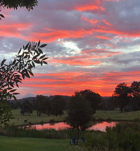 Raynella Alpaca Farmstay - ACT Tourism 2