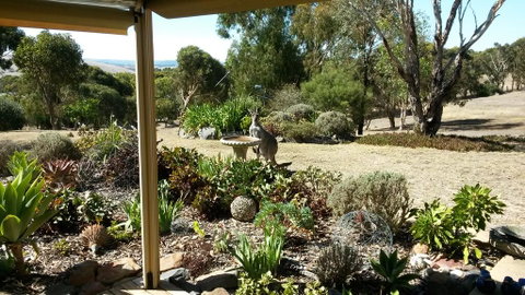 Austiny Bed And Breakfast Victor Harbor - ACT Tourism 3