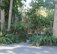 Avoca Park - ACT Tourism