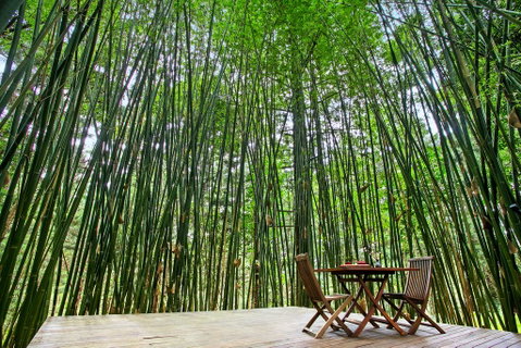 Azabu Boutique Accommodation - ACT Tourism 1