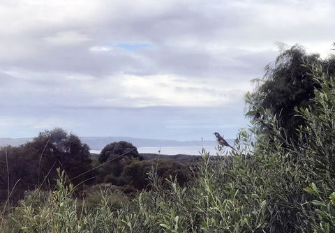Banksia @ Cosy Corner - ACT Tourism 1