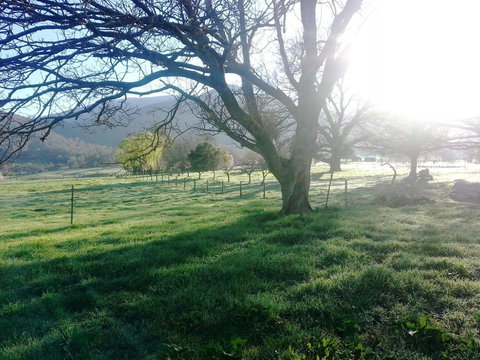 Bay Creek Guest House - ACT Tourism 0