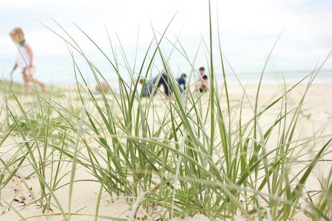 Beachfront At Bribie 2 Puppy Friendly - ACT Tourism 3