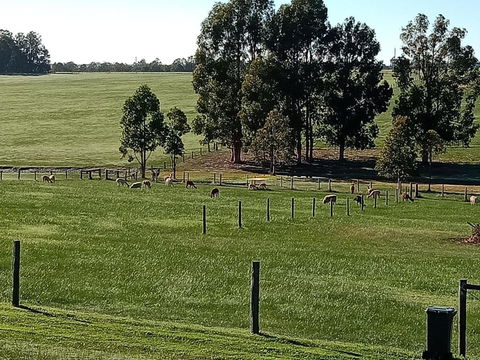 Redtail Ridge Cottages - ACT Tourism 1