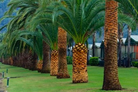 Riva On The Hawkesbury - ACT Tourism 3