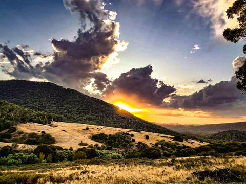 Roam Merrijig - Luxury Stay With Mountain Views - Foothills Of Mt Buller - ACT Tourism 1