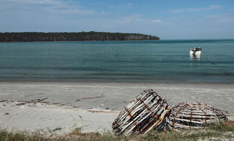 Rock Lobster - ACT Tourism 2