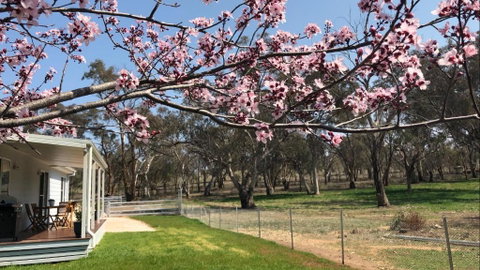 Rosewood Cottage - ACT Tourism 3