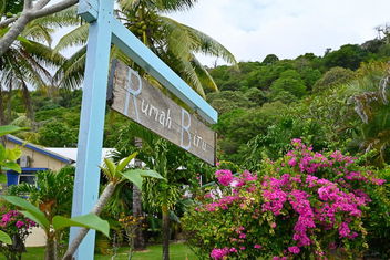 Rumah Biru with ACT Tourism