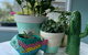 Salty Paws Dog Friendly Luxe Cottage - thumb 2