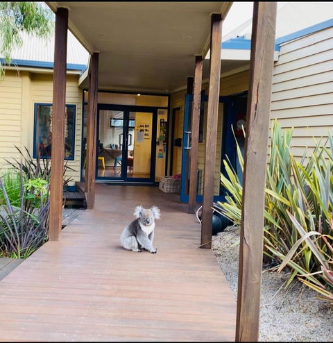 Sandpiper Motel Apollo Bay - ACT Tourism 3