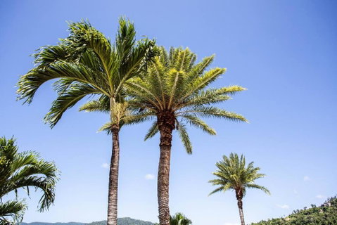 STAR VIEW 9, POOL, WIFI, SLEEP 4, BEST VIEWS IN AIRLIE - ACT Tourism 3