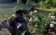 Sunshine Coast Farm Stay - thumb 1