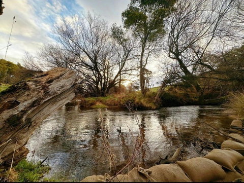 The Bushmill Cottage - ACT Tourism 3