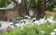 Bed And Breakfast In Perth - thumb 1