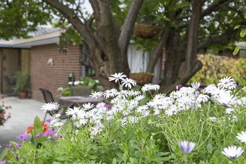 Bed And Breakfast In Perth - ACT Tourism 1