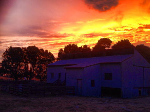 Beggs Farmstay B&B - ACT Tourism 1