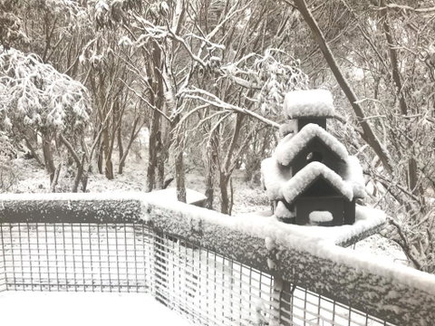 Belltrees - ACT Tourism 1