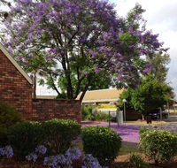 Belvoir Village Motel  Apartments Wodonga
