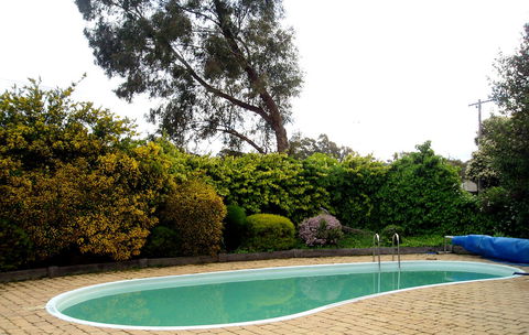 Bendigo Motor Inn - ACT Tourism 3