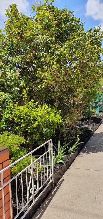 Betty's Place - ACT Tourism 1