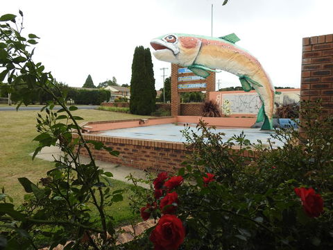 Big Trout Motel - ACT Tourism 0