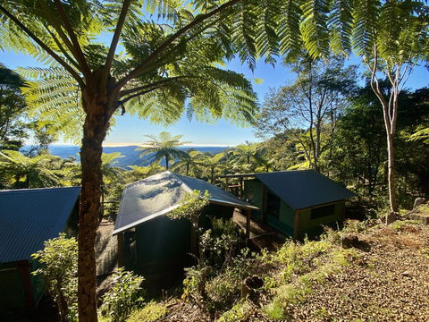 Binna Burra Rainforest Campsite - ACT Tourism 2