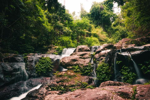 Binna Burra Rainforest Campsite - ACT Tourism 3