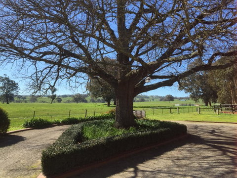 Birchwood Cottage - ACT Tourism 1