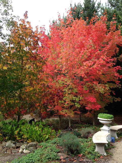 Black Duck Farm - ACT Tourism 1