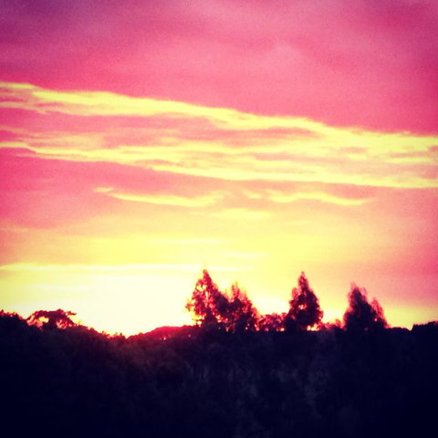 Black Duck Farm - ACT Tourism 3