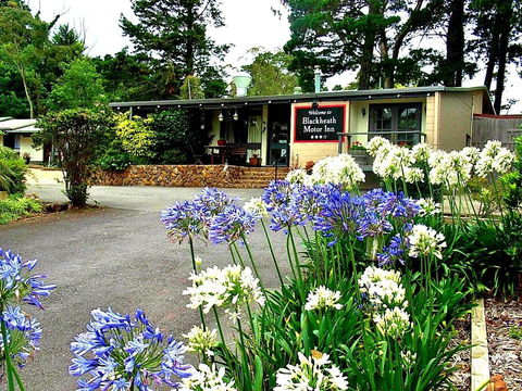 Blackheath Motor Inn - ACT Tourism 0