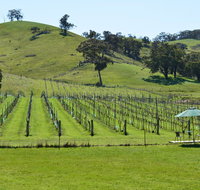 Blue House at Mountainside Wines - ACT Tourism